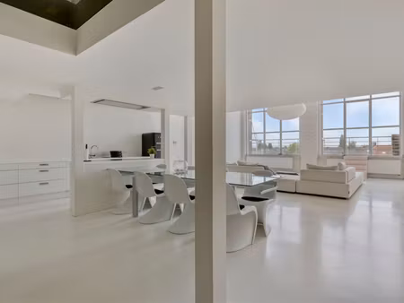 trendy loft met 2 parkeerplaatsen