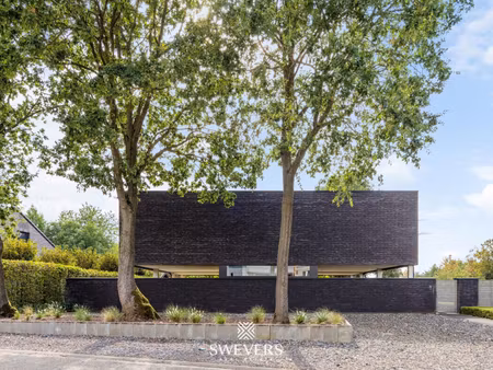 swevers real estate