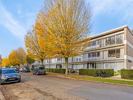 appartement te huur in edegem met 2 slaapkamers