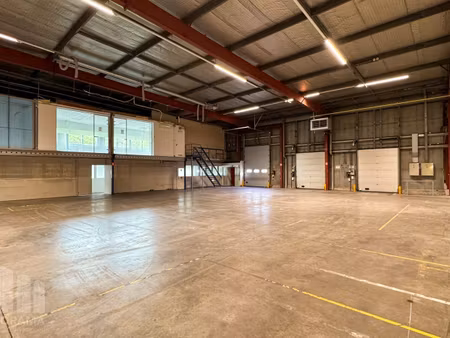 commercieel te huur in kontich