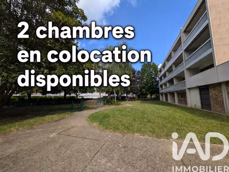 location duplex 1 pièce