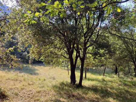 vente terrain 5 647 m²