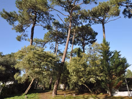 maison arcachon abatilles