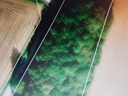 domaine forestier saint vran