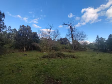 terrain 3000 m2 - quenza (alta rocca  corse-du-sud)