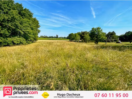 terrain brinay 1242 m2