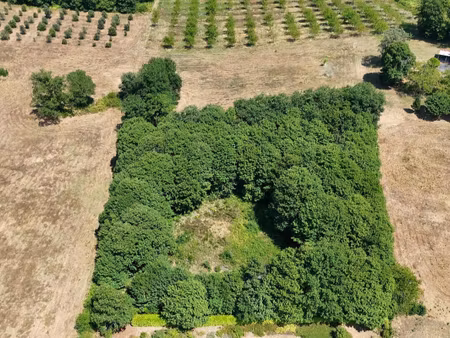 terrain prats de carlux 4636 m2