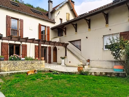 maison montignac lascaux 11 pièce(s) 234.89 m2