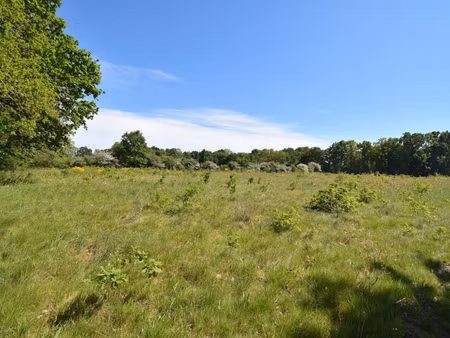 achat terrain 13 988m² geneston 44140