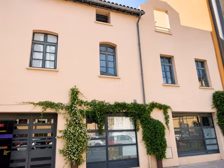 location local professionnel 46m² perpignan 66000