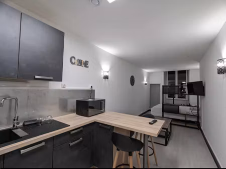 location appartement 1 pièce 35m² issoudun 36100