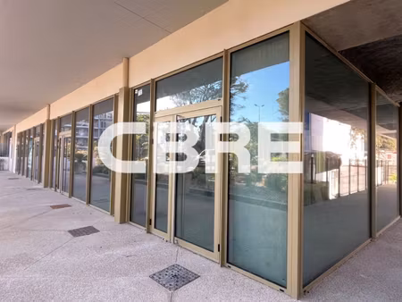 location local professionnel 238m²