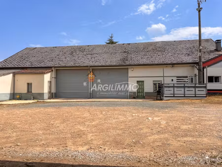 achat maison 6 pièces 1 000m² connerre 72160