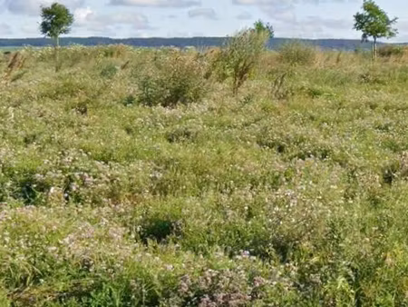 terrain 770 m² conde sur marne