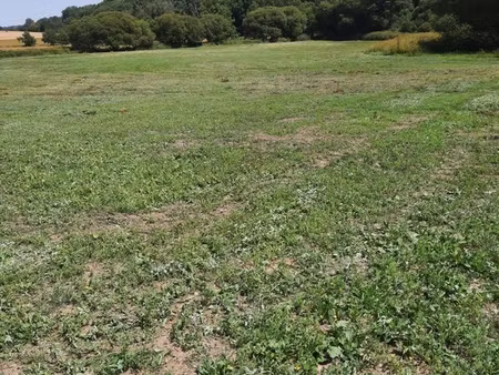 terrain 61200 m² coetlogon
