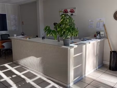local commercial ou professionnel