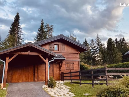 chalet ski - grand massif - forêt et pistes à pied