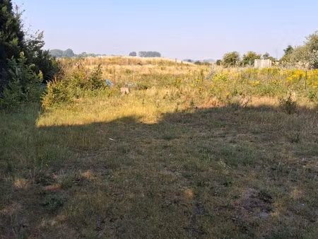 terrain constructible