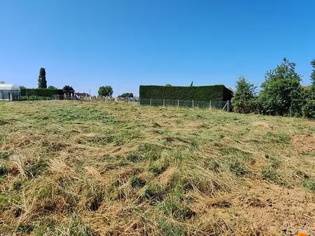 terrain 801 m²