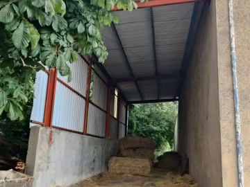 hangar / local professionnel