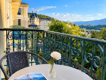t1 rénové 26 m² avec balcon  vue parc  vendu meublé