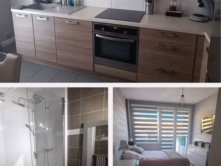 appartement proche fac tram centre 2