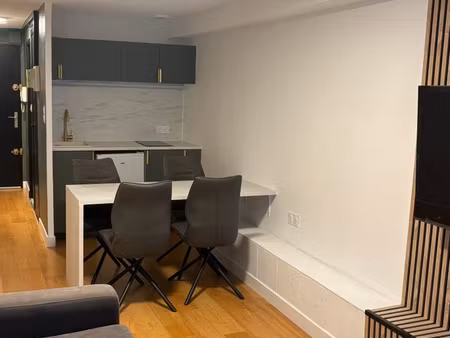 appartement 1 pièce 21m2