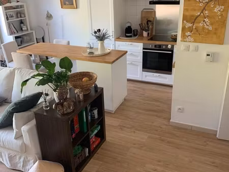 appartement centre ville montauban