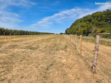 location terrain prairie pour chevaux
