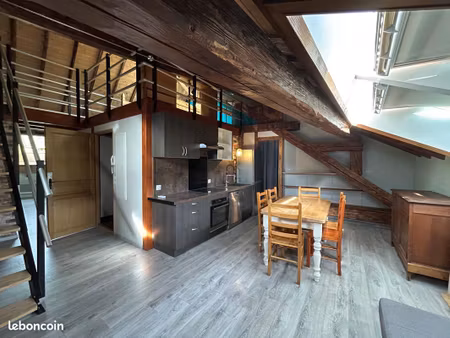 loft spacieux de 63 m² avec mezzanine vue sur les montagnes