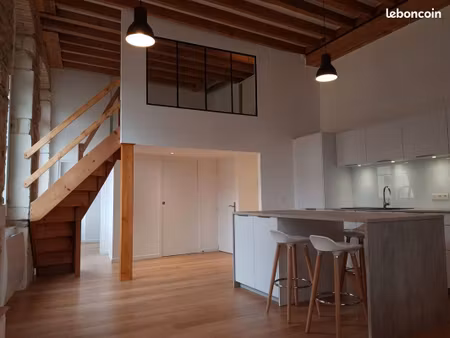 superbe loft canut entièrement rénové croix-rousse