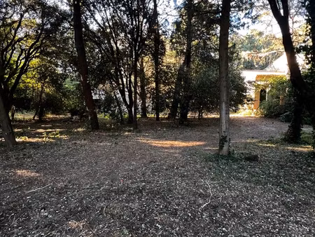 terrain à bâtir viabilisé en forêt de 550m2