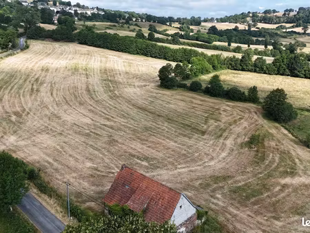 terrain 36000 m² riom-ès-montagnes