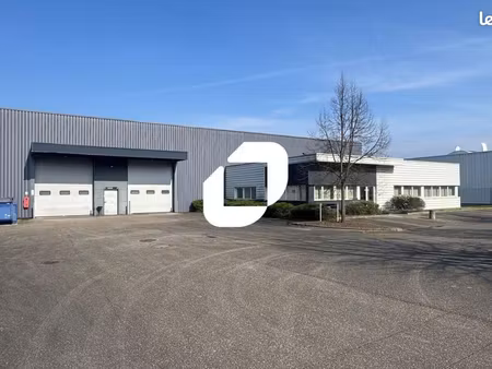 local bureaux 2 655 m²
