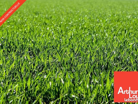 terrain 3696 m² ingrandes