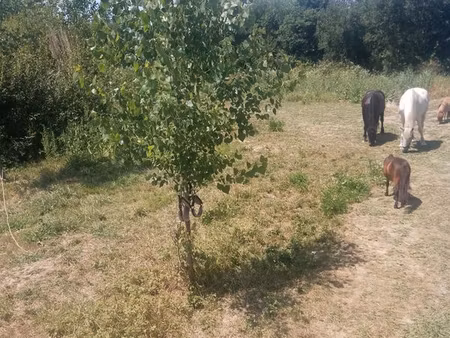 cherche terrain a louer a l'année
