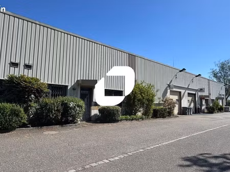 local bureaux 320 m²
