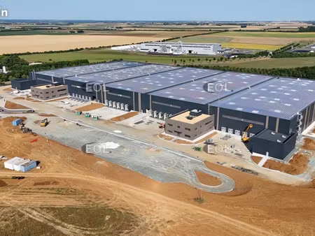 local logistique 12 966 m²