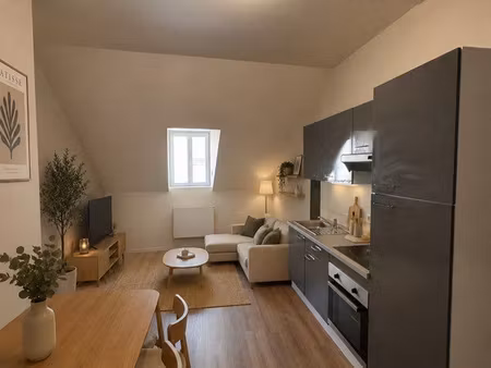 beau t3 entièrement rénovée / idealement situé