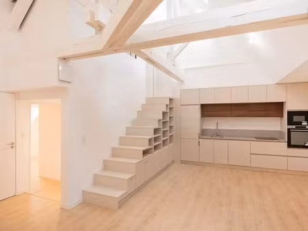 duplex 3 pièces rénové au cœur d'orléans