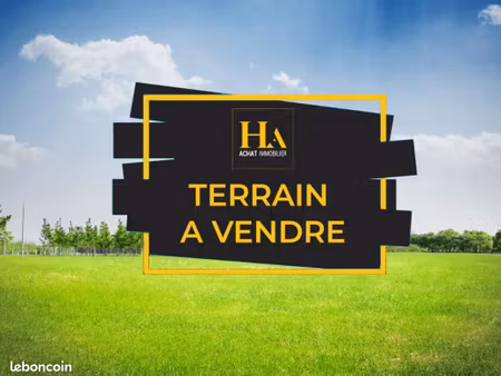 terrain 2 377 m² le tampon