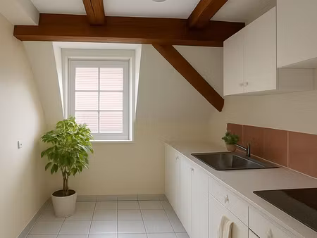 1pièce à seebach  30m2