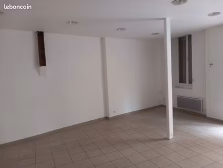 grand appartement t2 type loft à st cyprien