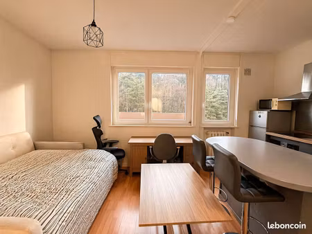 appartement 1 pièce 25 m²