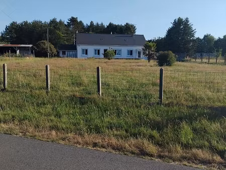 terrain constructible