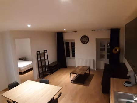 appartement t2 centre ville 46 m² refait a neuf libre fin juillet