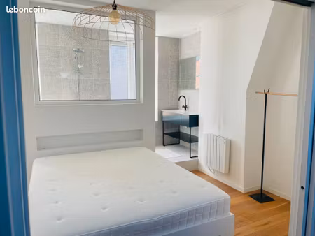 appartment | suite élégante au dernier étage : un coin de paradis à la croix-rousse