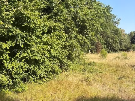 terrain 541 m² gradignan