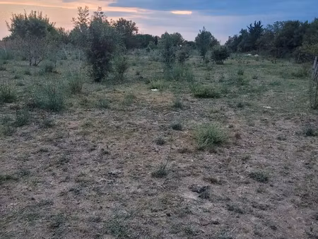 terrain agricole mauguio
