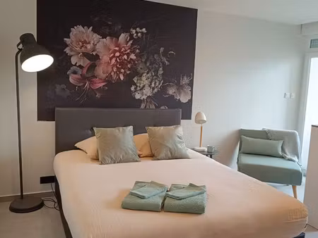 appartement 1 pièce a louer meublé